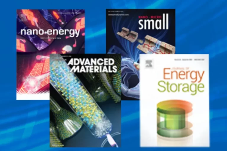 IEST Facilitate Partners Publish High-level Papers on Advanced Materials, Journal of Energy Storage, Energy & Environmental Science, Nano Energy etc.