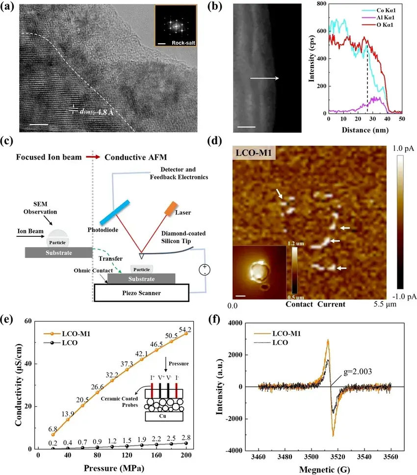 Figure 2. Characterization experiments of surface conductivity, where (a) HRTEM map of the LCO-M1 phase, and FFT transformations of selected regions. where the scale bars for the HRTEM and FFT maps are 5 (nm) and 5 (1/nm), respectively; (b) TEM maps of the LCO-M1 phase with corresponding EDX line sweeps along the direction of the arrows; (c) Schematic diagrams of individual particles subjected to an AFM conductivity test on a cross-section; and (d) AFM contact current maps of individual particles on a cross-section. where the insets are the corresponding height distribution images with a scale bar of 1 μm; (e) conductivity measurements of LCO and LCO-M1 powders at different pressures using the four-probe method (PRCD2100, IEST); and (f) EPR mapping of LCO and LCO-M1 powders.