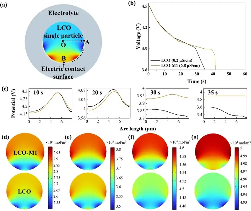 Figure 6. The impact of surface electric conductivity on the electrochemical performance by a finite‐element simulation. (a) The model for the finite element simulation. (b) The discharge curves of LCO with low and high surface conductivities. (c) Surface potential distribution along the BA^ ${\widehat{BA}}$ arc (marked in (a)) when discharging at 10, 20, 30 and 35 s. Li⁺ concentration distribution at 5 (d), 10 (e), 20 (f), and 30 (g) s.