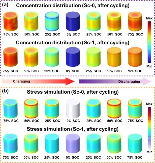 Figure 8. Effect of Sc mixing on lithium ion concentration distribution and release